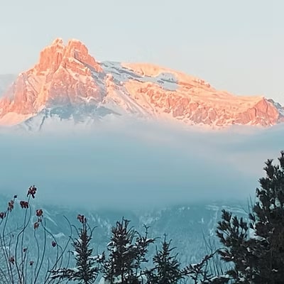 Séance Gestalt-Thérapie à Toulouse - Alexandra Lamisse